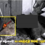 缅甸一男子接连捅自己14刀，自杀身亡-白菜社区-白嫖彩金-白菜论坛