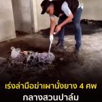 泰国再现惊天恶性凶杀大案 已发现4具烧焦尸体-白菜社区-白嫖彩金-白菜论坛