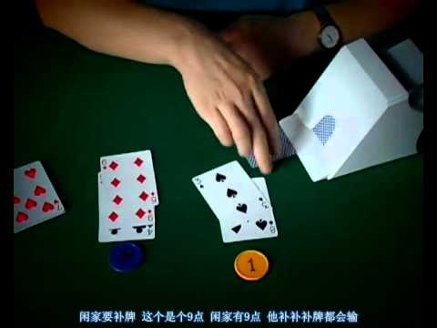 路单系统化：分类与权重的奥秘-白菜社区-白嫖彩金-白菜论坛